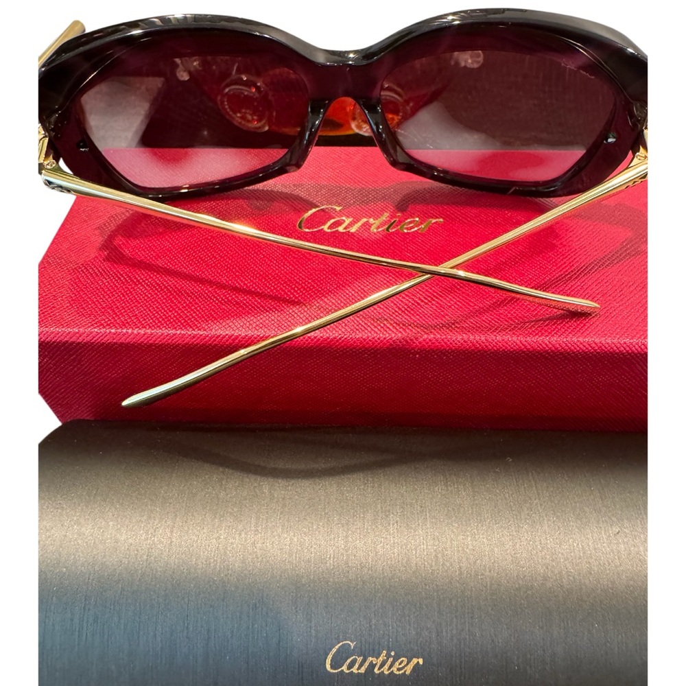 Cartier Havana Gold / Violet Sunglasses CT0215SA - Picture 3 of 4